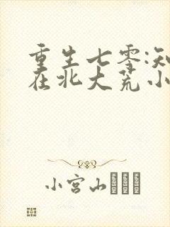 重生七零:知青在北大荒小说