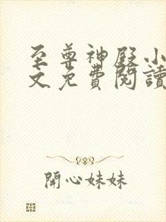 至尊神殿小说全文免费阅读无弹窗