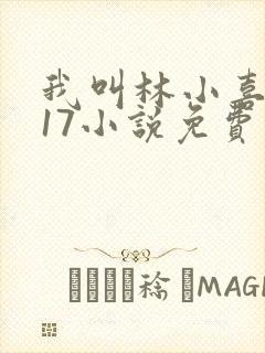 我叫林小喜今年17小说免费看
