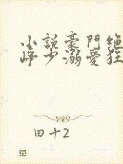 小说豪门绝宠之峥少溺爱狂妻阅读