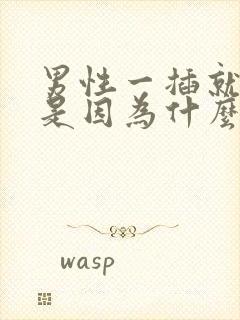 男性一插就想射是因为什么