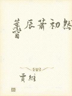 叶辰萧初然无弹窗