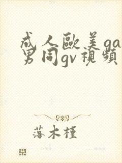 成人欧美gay男同gv视频
