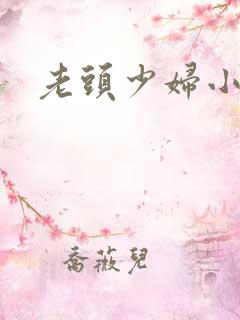 老头少妇小说