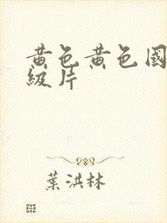 黄色黄色国产一级片