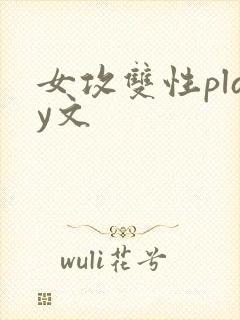 女攻双性play文