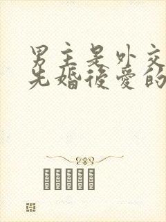 男主是外交官的先婚后爱的小说