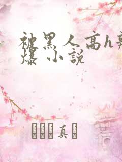 被黑人高h辣文爆 小说