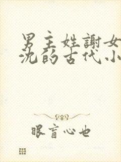 男主姓谢女主姓沈的古代小说