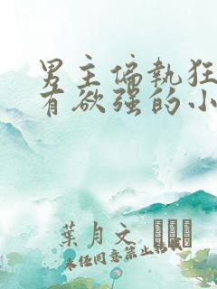 男主偏执狂,占有欲强的小说