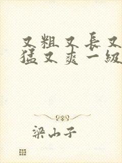 又粗又长又黄又猛又爽一级