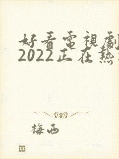 好看电视剧推荐2022正在热播的剧
