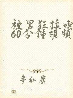 被男狂揉吃奶胸60分钟视频