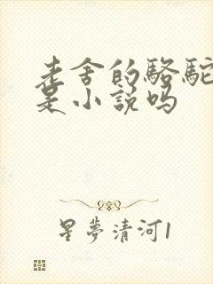 老舍的骆驼祥子是小说吗