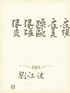 狠狠躁夜夜躁人爽碰欧美视频