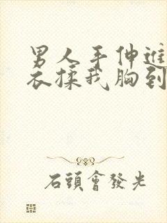 男人手伸进我内衣揉我胸到爽