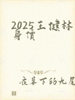 2025王健林身价
