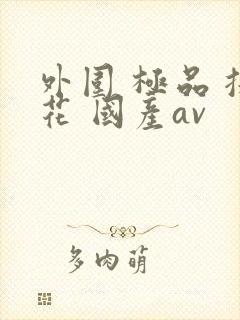 外围 极品 探花 国产av
