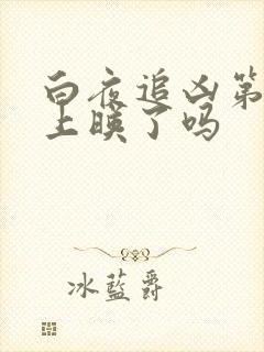 白夜追凶第二季上映了吗