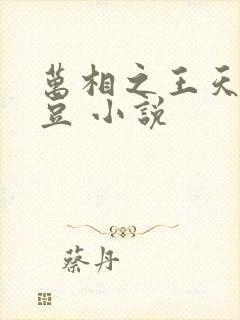 万相之王天蚕土豆 小说