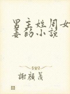 男主姓周女主姓姜的小说