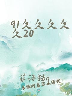 91久久久久久久20
