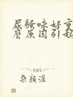 尿骚味好重是什么原因引起的