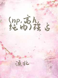 (np,高h,纯肉)强占
