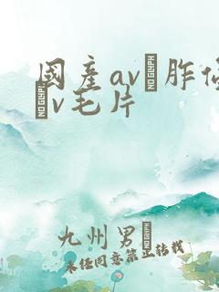 国产av胙侵轪v毛片