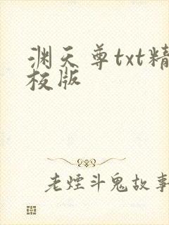 渊天尊txt精校版