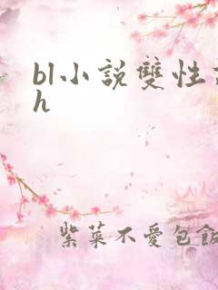 bl小说双性高h