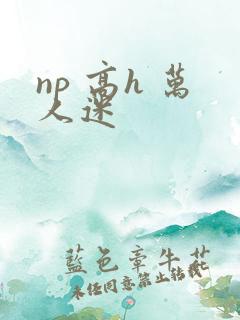 np 高h 万人迷