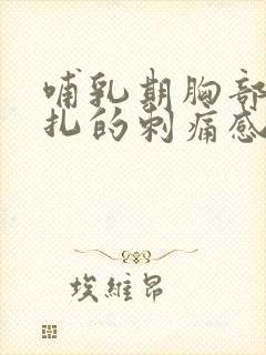 哺乳期胸部有针扎的刺痛感