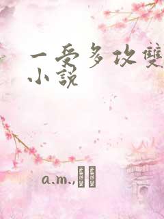 一受多攻双男主小说