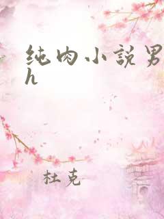 纯肉小说男男高h