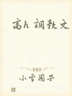 高h 调教文