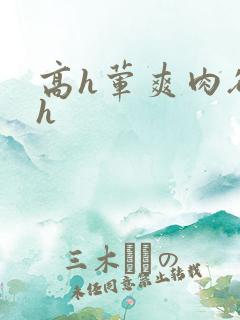 高h荤爽肉欲文h