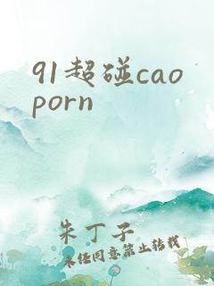 91超碰caoporn