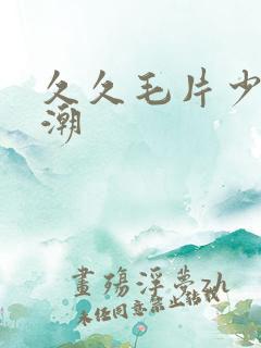 久久毛片少妇高潮