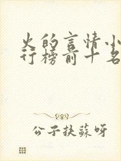 火的言情小说排行榜前十名