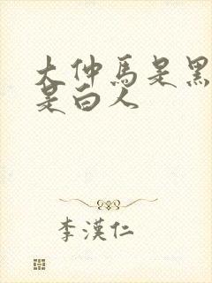 大仲马是黑人还是白人