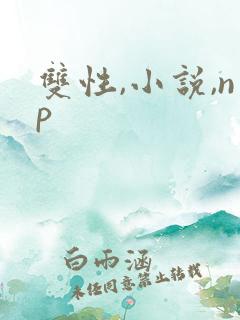 双性,小说,np
