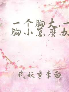 一个胸大,一个胸小怎么办