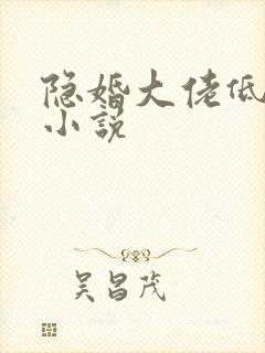 隐婚大佬低调宠小说