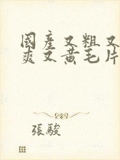 国产又粗又硬又爽又黄毛片