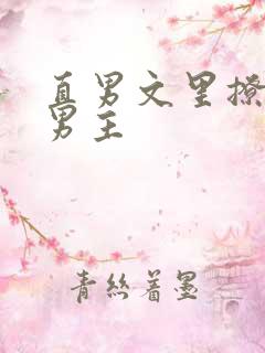 直男文里撩言情男主