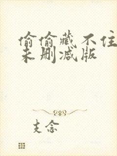 偷偷藏不住小说未删减版