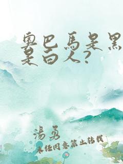 奥巴马是黑人还是白人?