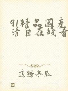 91精品国产高清自在线看超