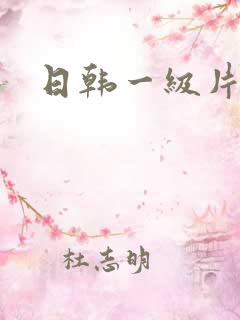 日韩一级片大胸